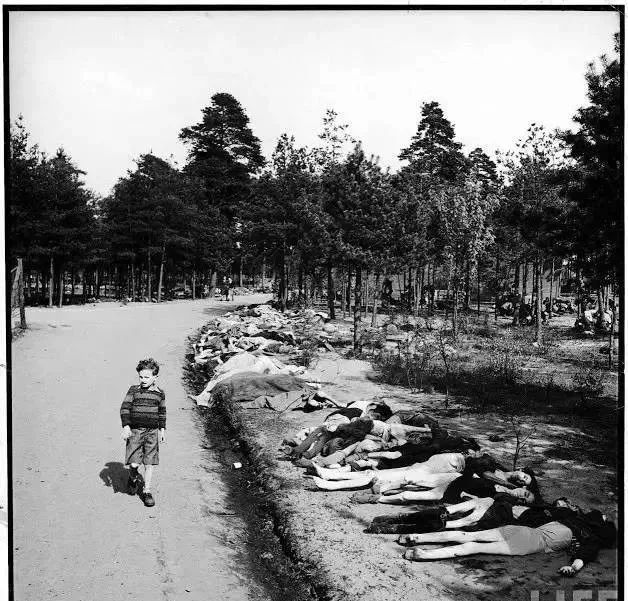 她轰动整个西方，在欧洲她被尊为圣母，在中国却很少人知道