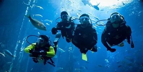 游学冬令营2024,游学冬令营活动