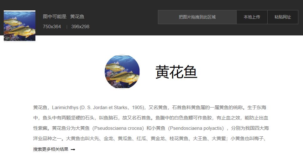 怎么有效搜索资源,有效资源搜索方法