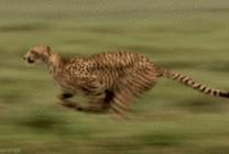 生活中的“虚领顶劲”、“腰先动”