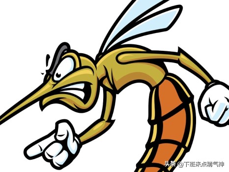 炎炎夏日防止蚊虫叮咬,专家警告夏天一定要严防蚊虫叮咬