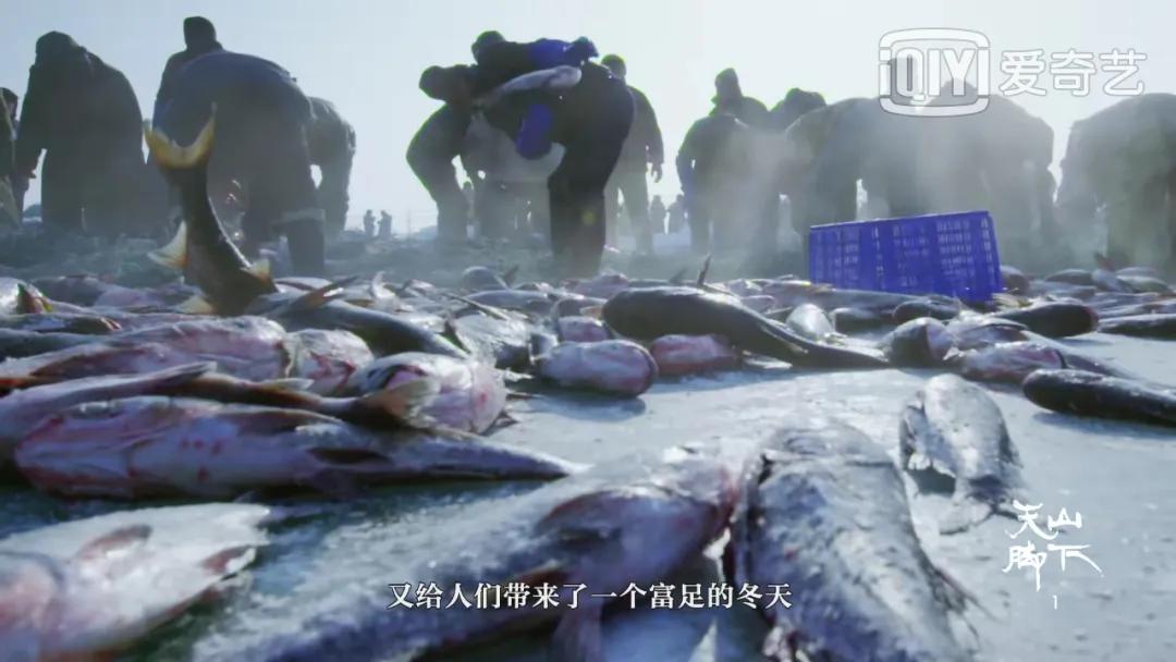 我国旅游日,中国旅游日5.19意义