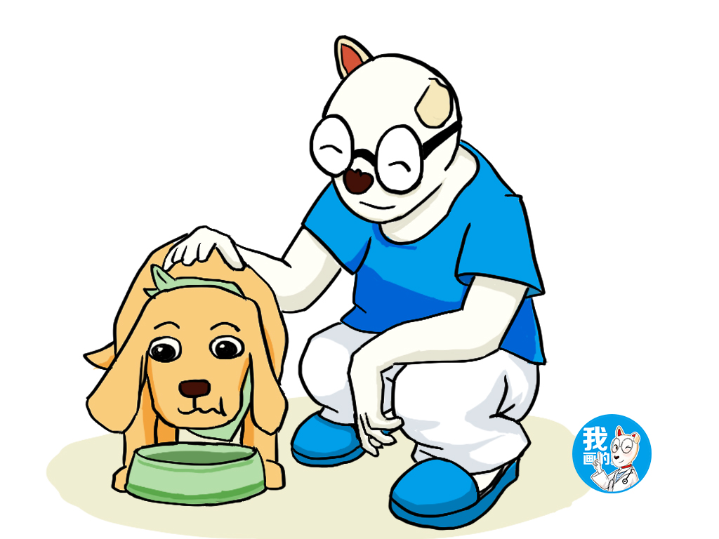 狗狗胀气有什么症状和表现,狗狗胀气的症状及解决方法