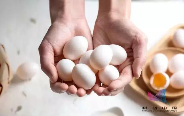 鸭蛋鸡蛋鹅蛋鹌鹑蛋哪个胆固醇高,鸡蛋鸭蛋鹅蛋鹌鹑蛋营养成分表