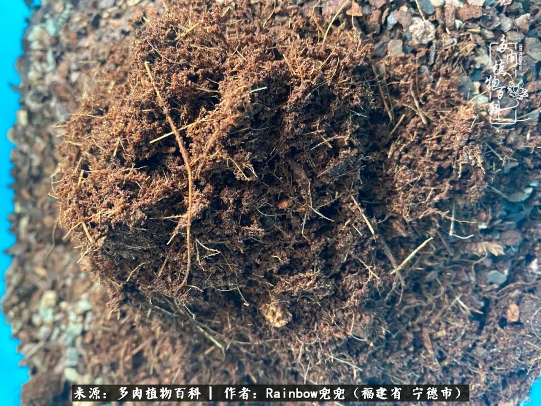 岁月无波澜余生不悲欢是啥意思,愿你岁月无波澜敬我余生无悲欢