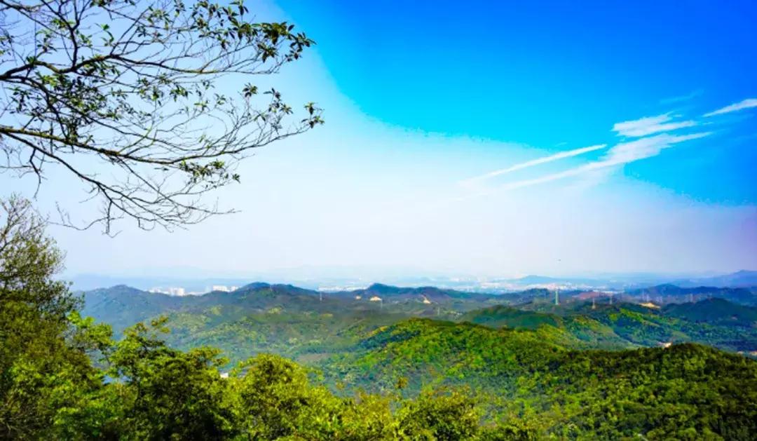 广州白云有潜力么,广州白云区经济发展前景