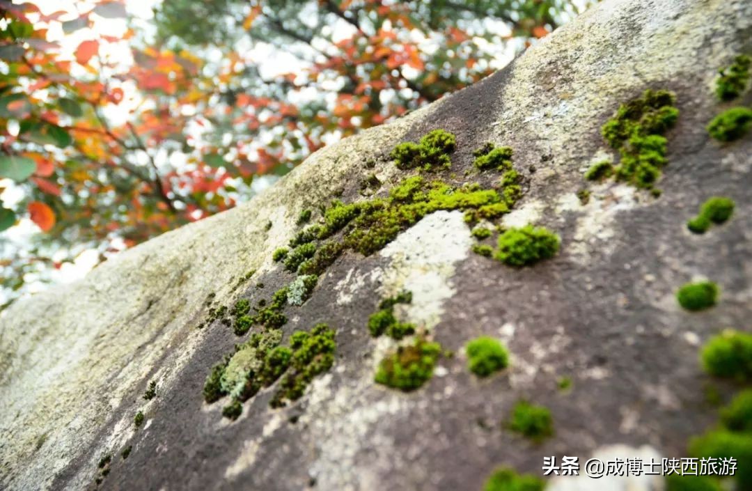 秦岭终南山旅游推荐,最近秦岭终南山景区