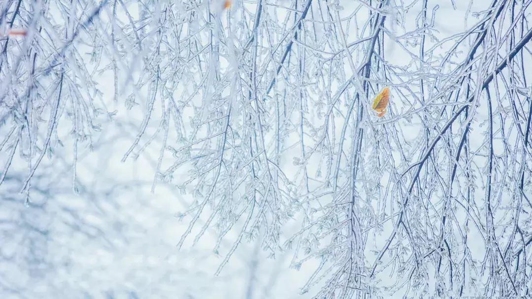 贵阳云雾山云海,贵阳云雾山雾凇旅游攻略