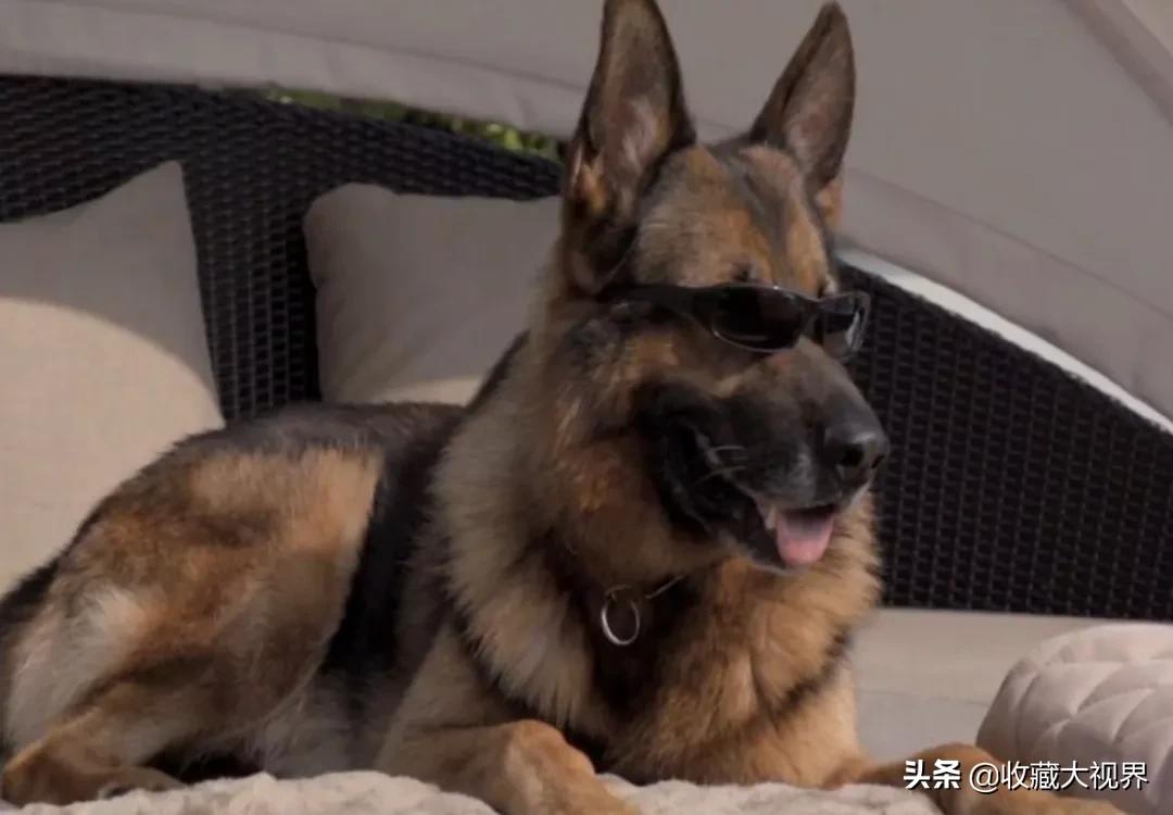 冈瑟家族近况,冈瑟四世最新资产