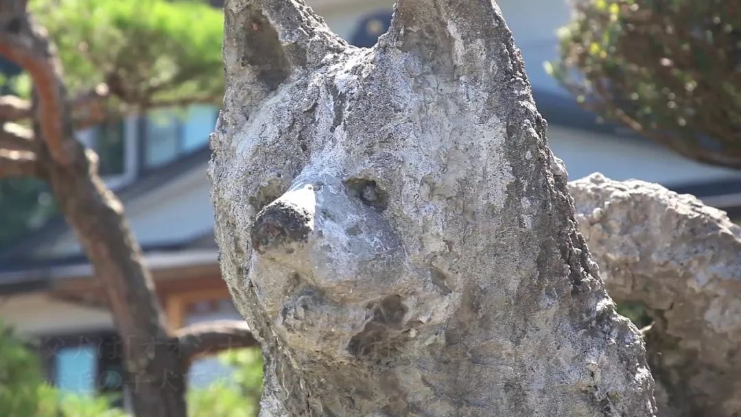 她是日本平安时代第一美人，家乡的火车和大米都以她的名字命名