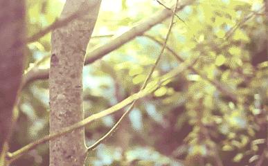 福建春季游玩好去处推荐,我闻到了春天的气息200字