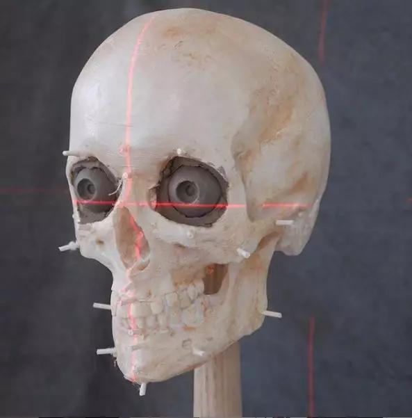 法医根据头骨还原死者,颅骨还原画像原理