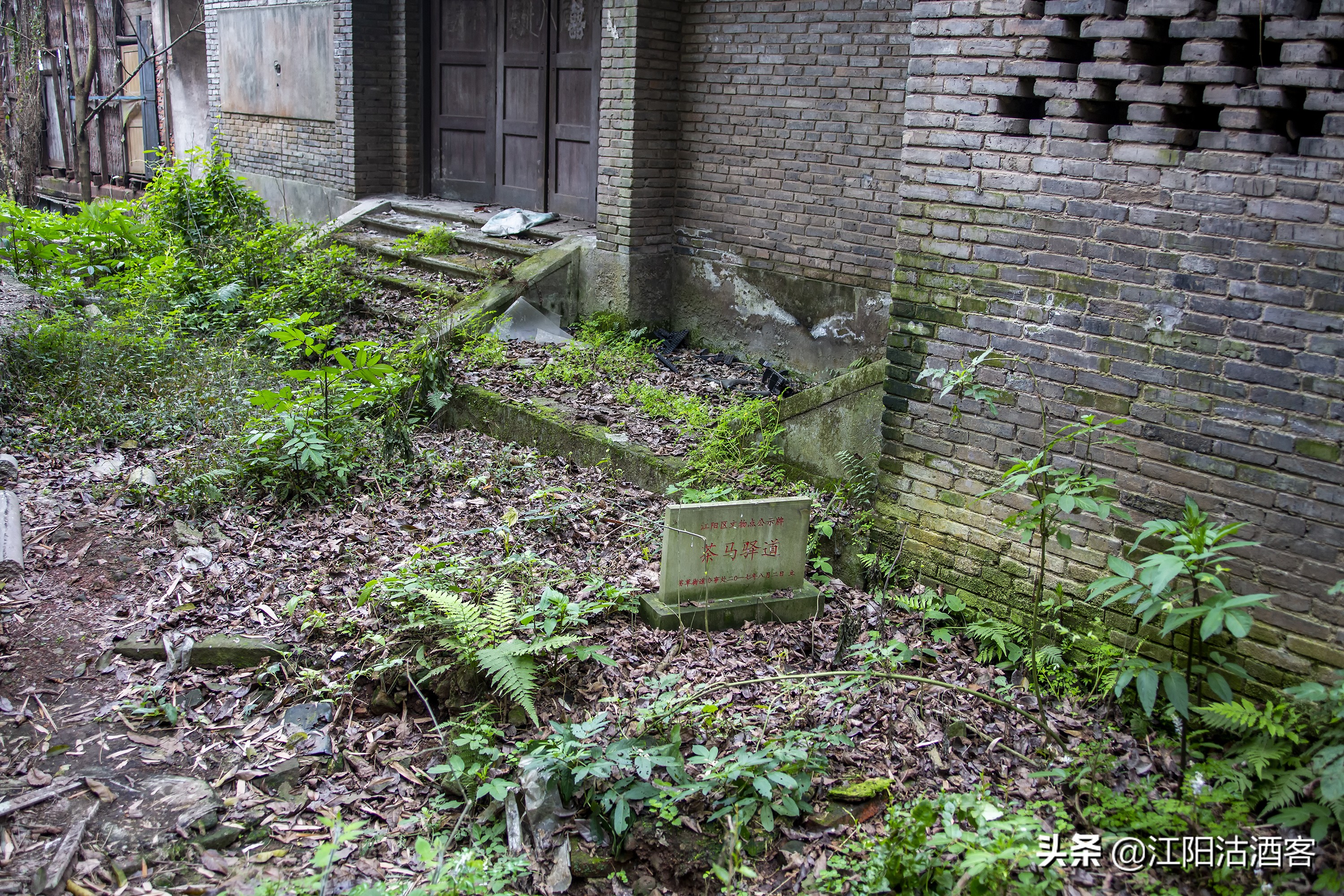 泸州沙湾，一条通往茶马古道的长江水上码头，如今落寞无人问