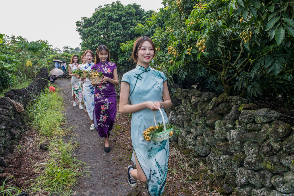 海口附近的荔枝采摘园有地过夜吗,海口周边采摘荔枝一日游最佳地点