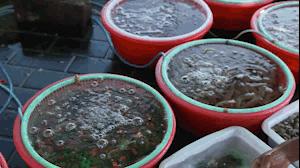 菊花岛探秘,大连海岛游菊花岛