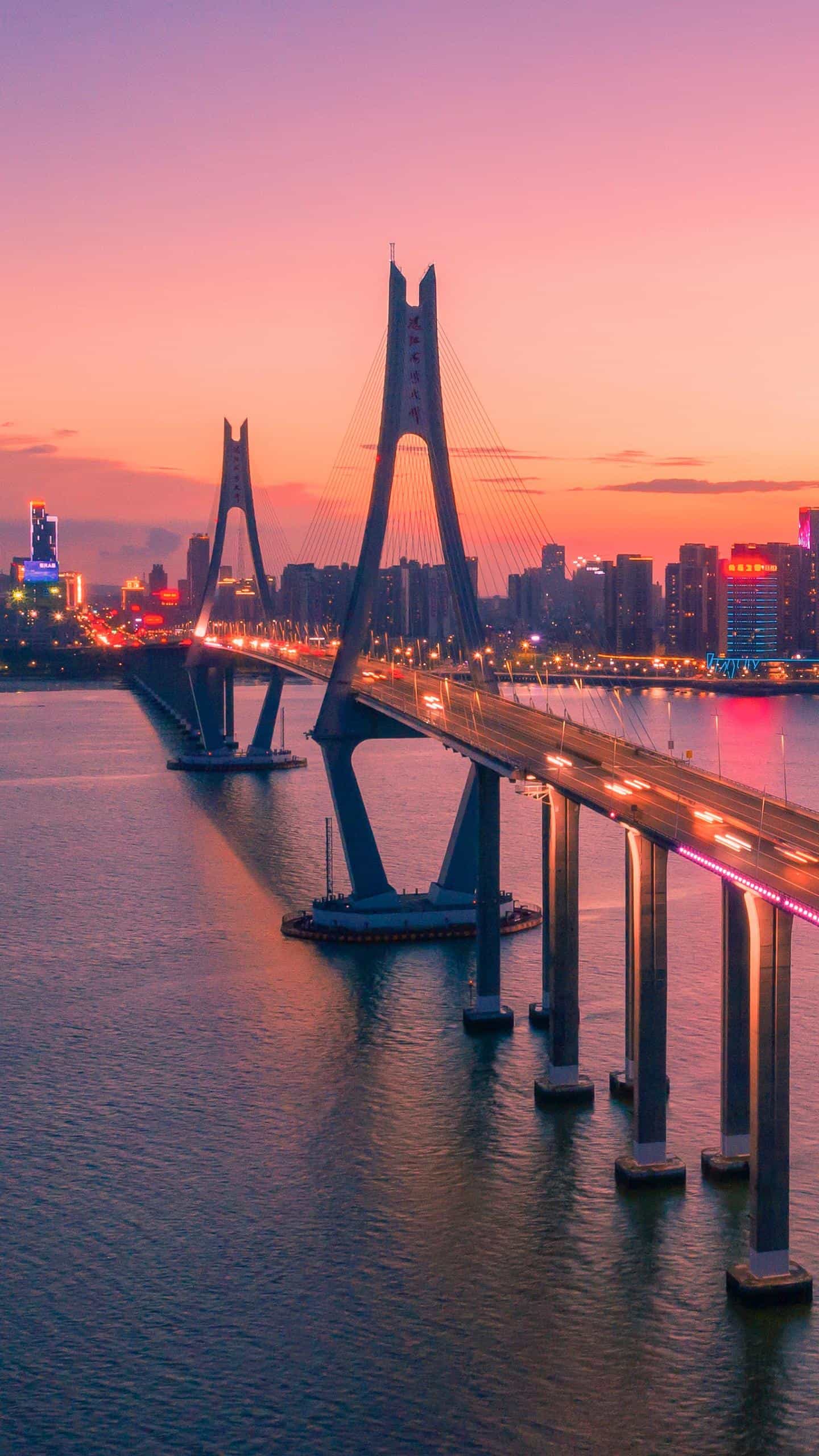 “扬州”“扬州人”？非也，乃“皮五癞子”也！