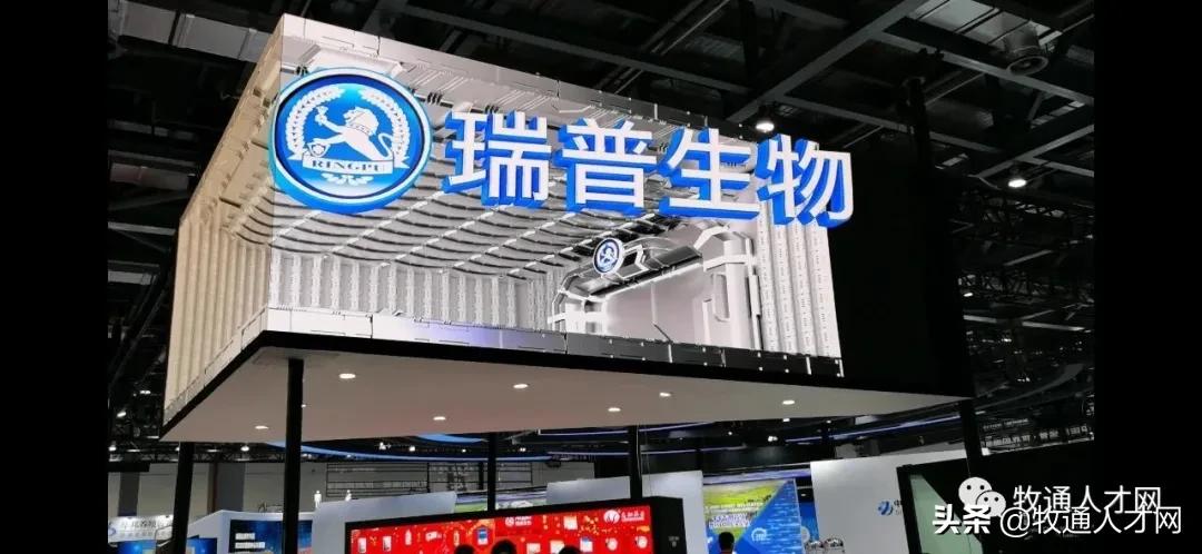 瑞普最新招工信息,瑞普人力资源总监