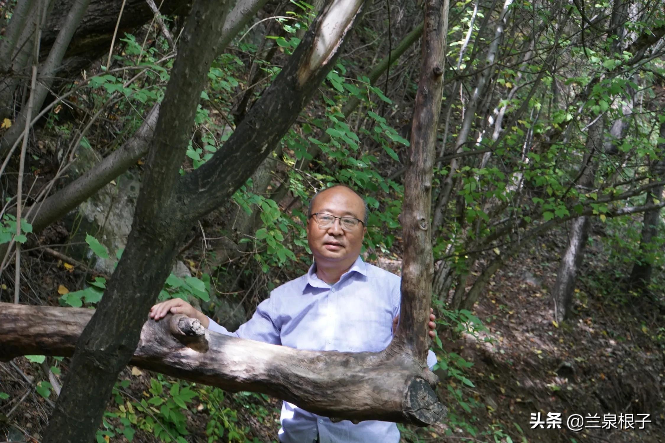 秋日之旅旅游攻略,秋日自驾游视频