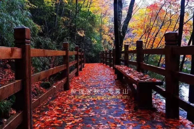 延安黄陵：醉美金秋仙遇黄陵