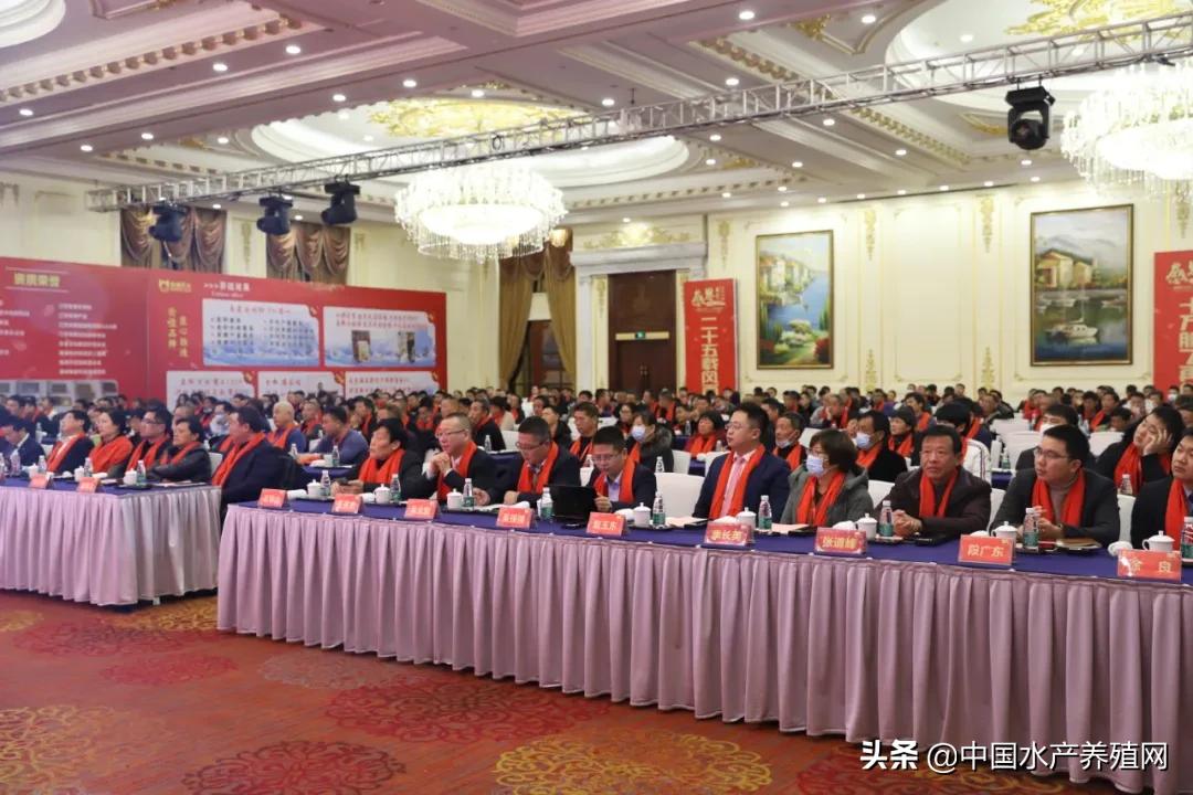 未来五年，实现年销量突破18万吨！南通巴大25周年华诞之际，超400位经销商现场共同见证