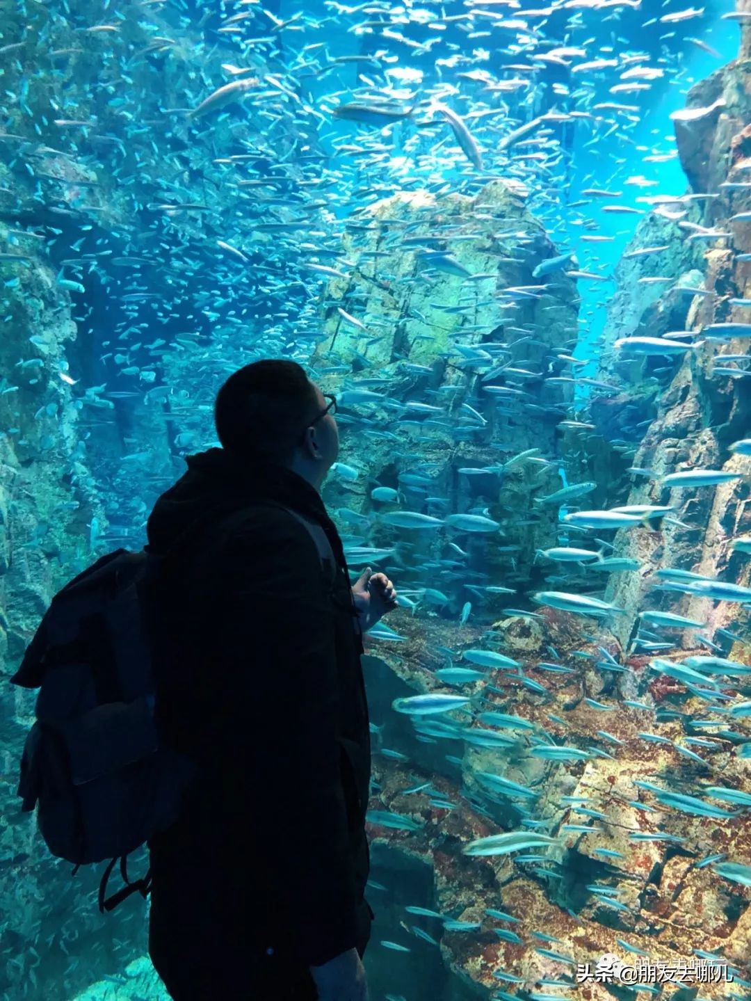 日本大阪京都自由行攻略大全,大阪京都奈良旅游攻略自由行