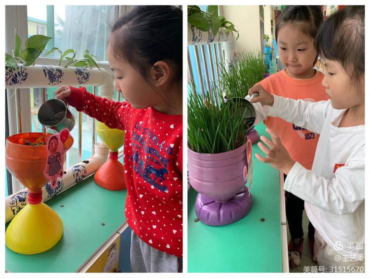 幼儿园自然角全景创设,幼儿园自然角的创设介绍