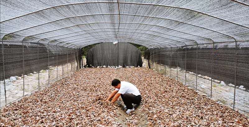 一组勤一组勤劳致富图,你被哪张击中了?