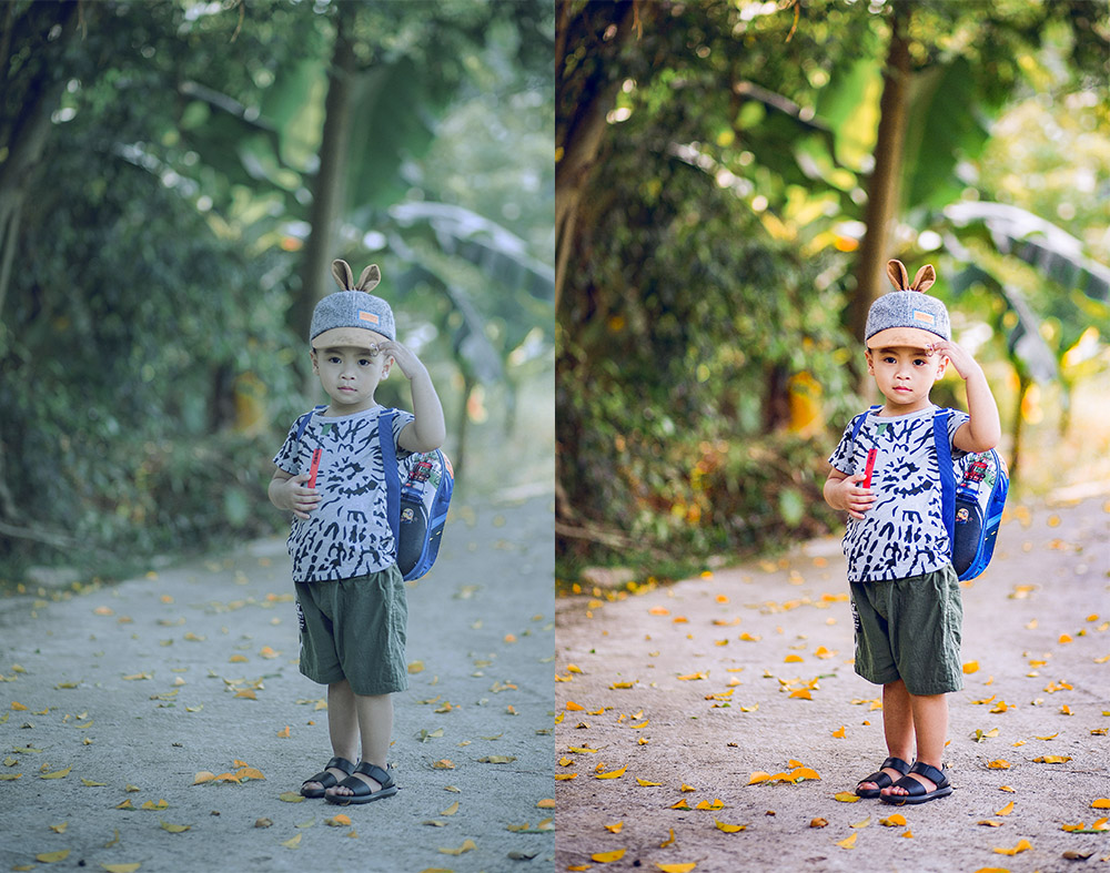 2020最新PS全套自学指南：送你300集课程+素材+笔刷+字体