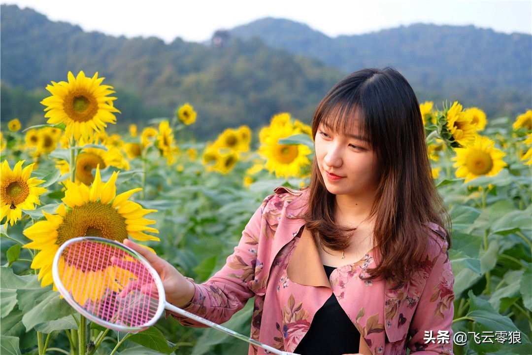 中羽飞云零狼,中羽无差评的球拍