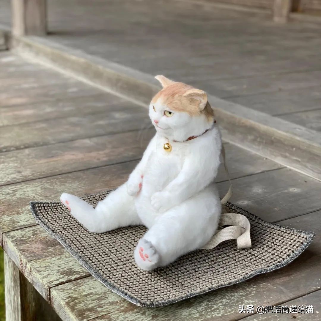 日本网红猫包,日本网红猫咪包