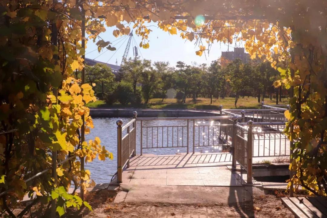 营口理工学院咋样,辽宁省公办高校营口理工学院