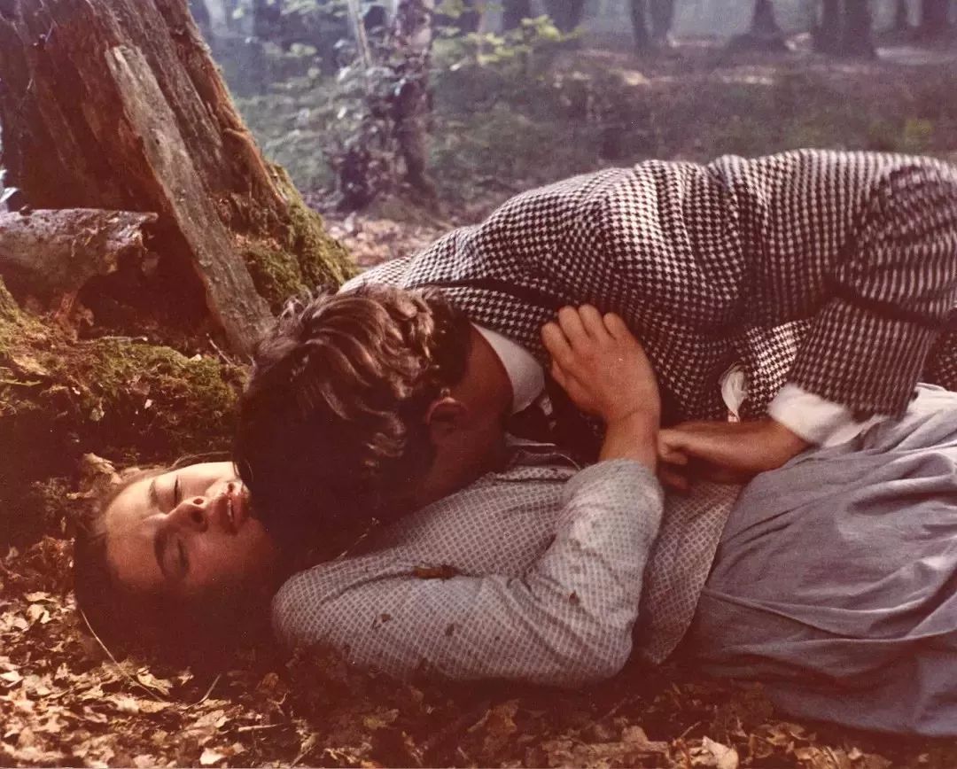 昆汀冷门电影,昆汀评价最高的电影