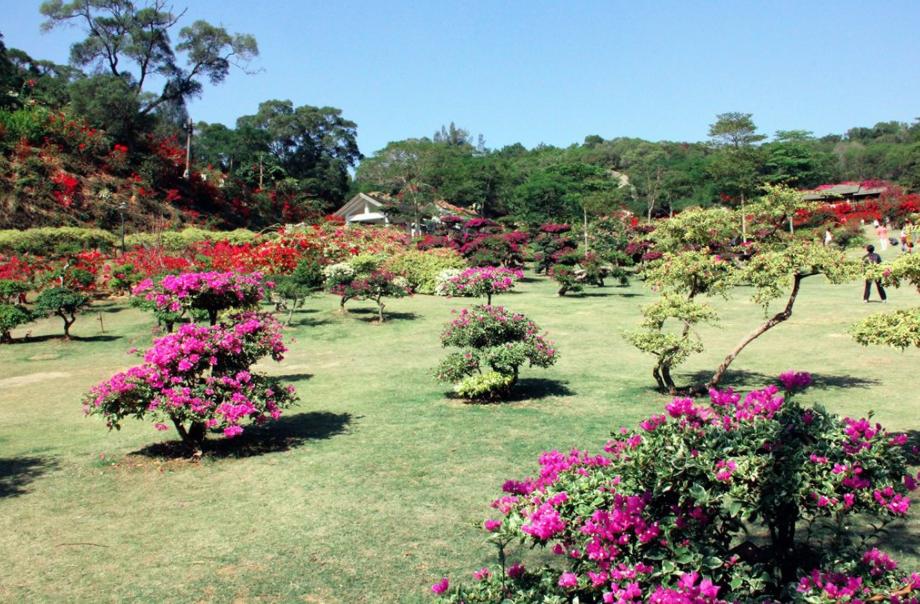 鍘﹂棬鍏嶈垂鏅偣鏃呮父鏀荤暐,鍘﹂棬鏃呮父浜斿ぇ鍏嶈垂鏅偣鏀荤暐