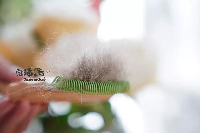 猫毛梳毛神器推荐,去猫毛神器推荐实测有效第一