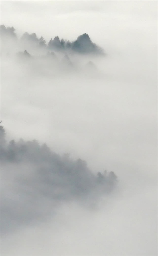 缓解眼睛疲劳动态图壁纸,好看的手机壁纸护眼高清图文