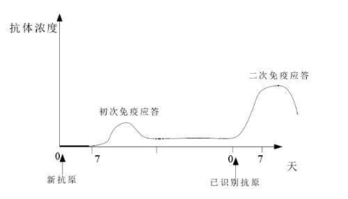 癌症患者免疫治疗的过程,癌症的介入治疗的风险与并发症