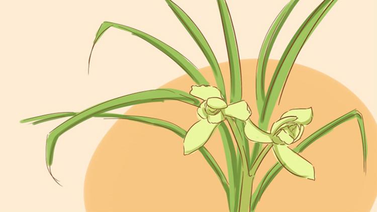 两个月宝宝夏季皮肤干燥是怎么办,天气冷如何解决宝宝皮肤干燥问题