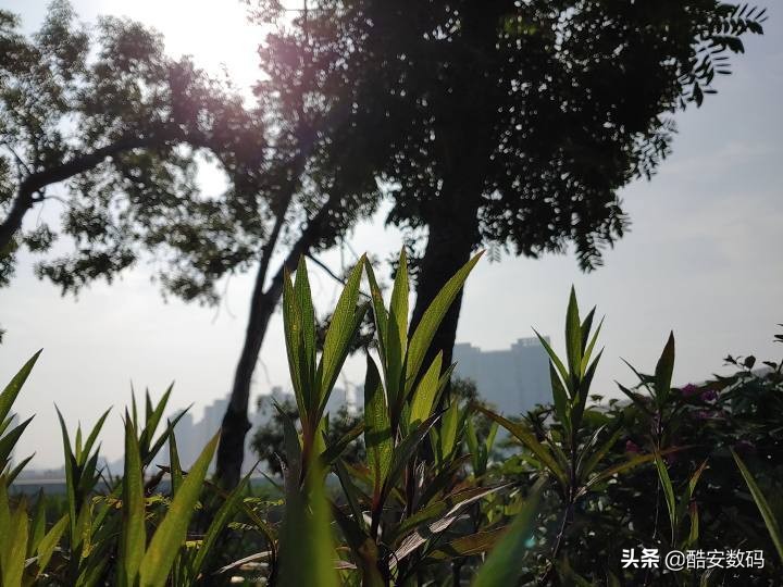 lgg8最大缺点,lgg8深度解析