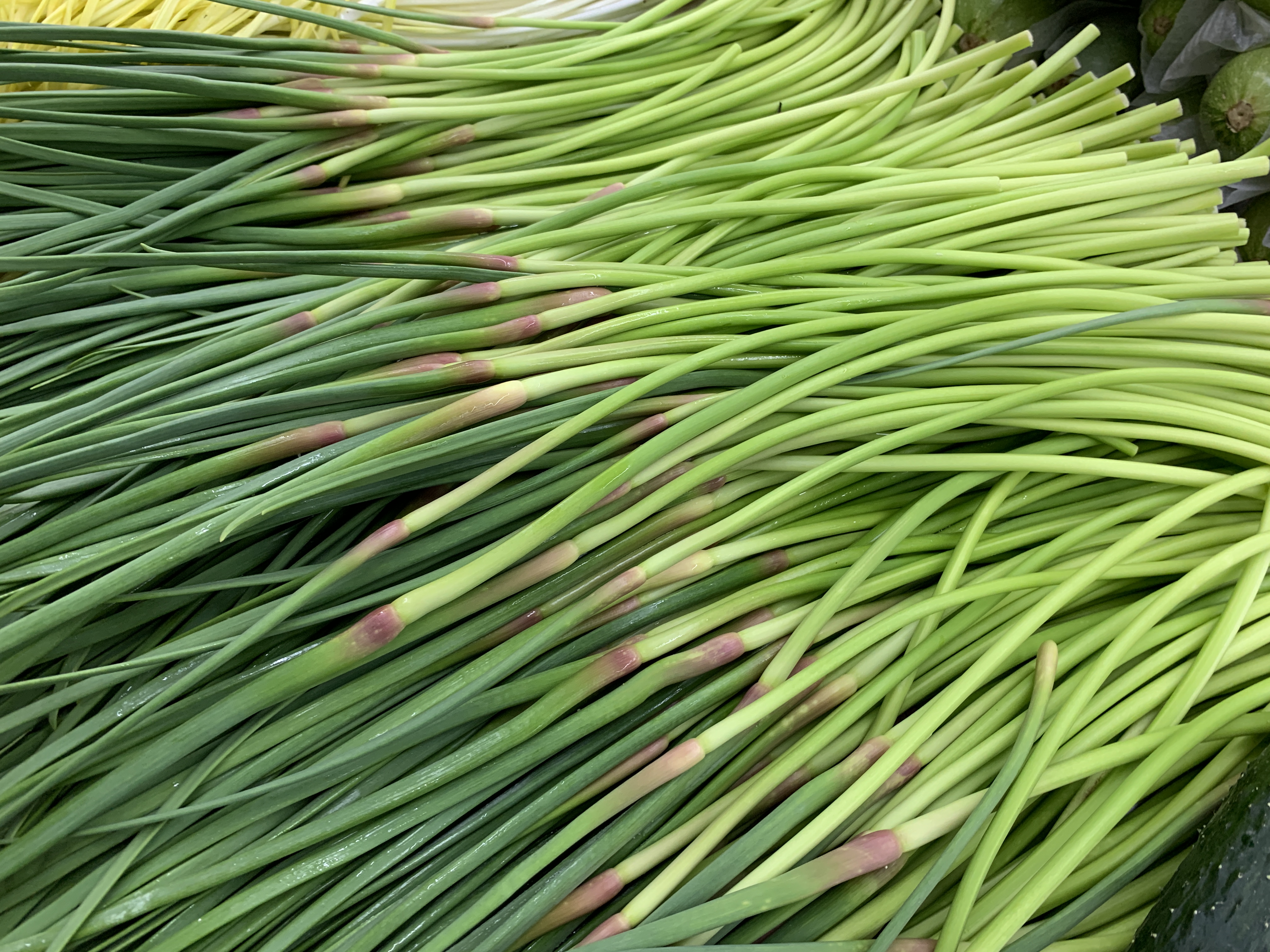 蒜苔和红帽蒜苔有区别吗,蒜苔青帽和红帽有什么区别