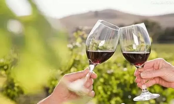 澳大利亚红酒小知识大全,一文了解意大利红酒