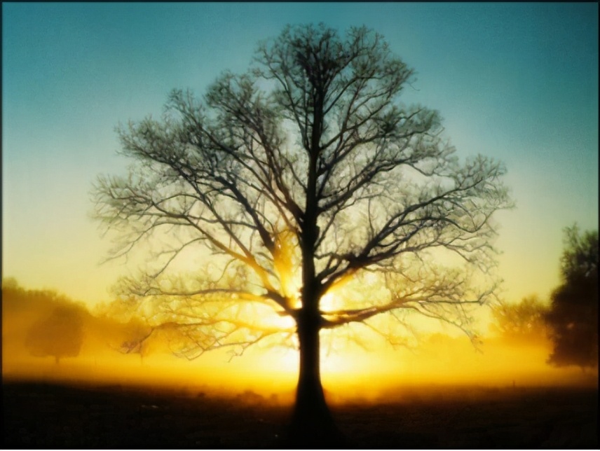 学习不是一个立竿见影的过程,学习不是轻而易举的事