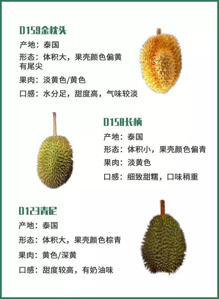 赌王派私人飞机买,蔡少芬怀孕也痴迷,凭啥它让*欲人**罢不能?