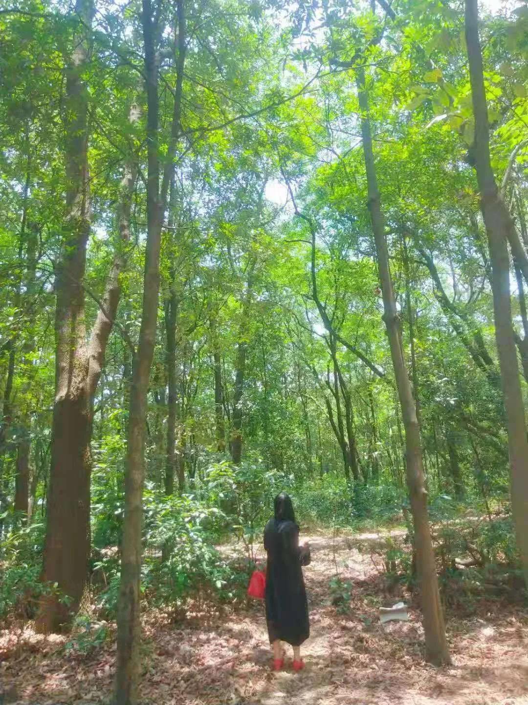 会丫书信续载之一