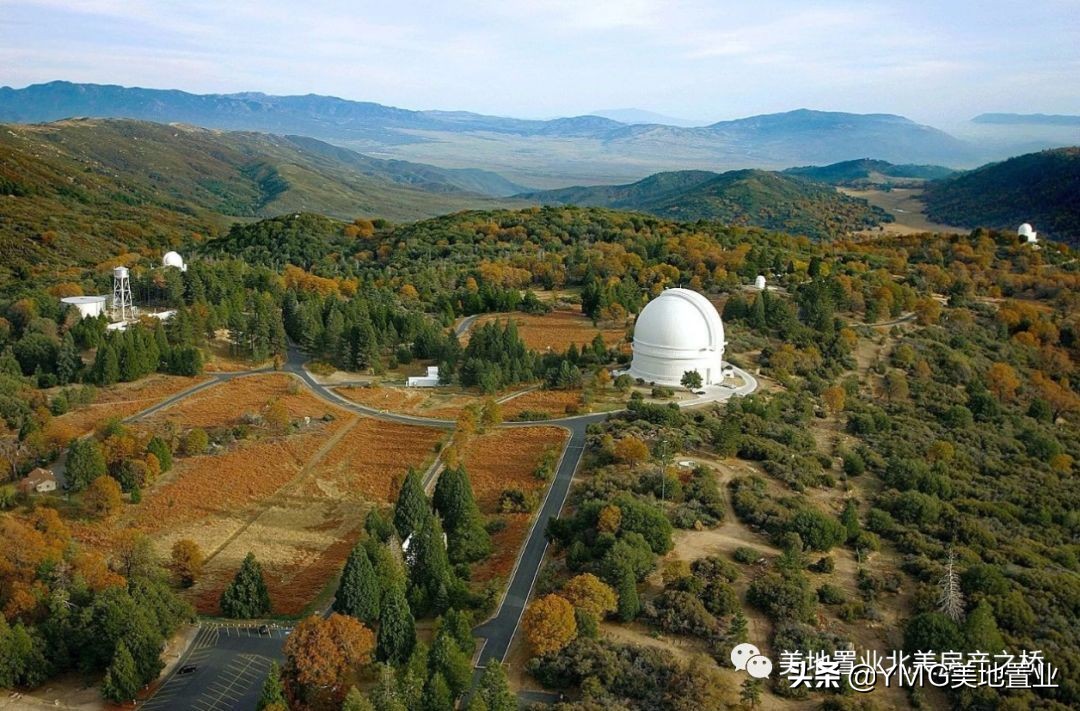 绿皮书浪漫,绿皮书最浪漫