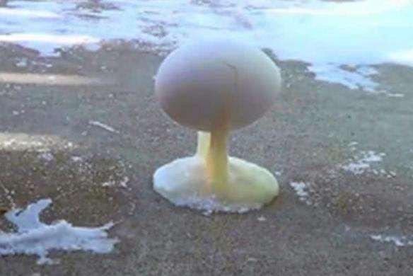 陈慧琳穿羽绒服演唱还被冻成表情包,一看演出地点,网友都笑了