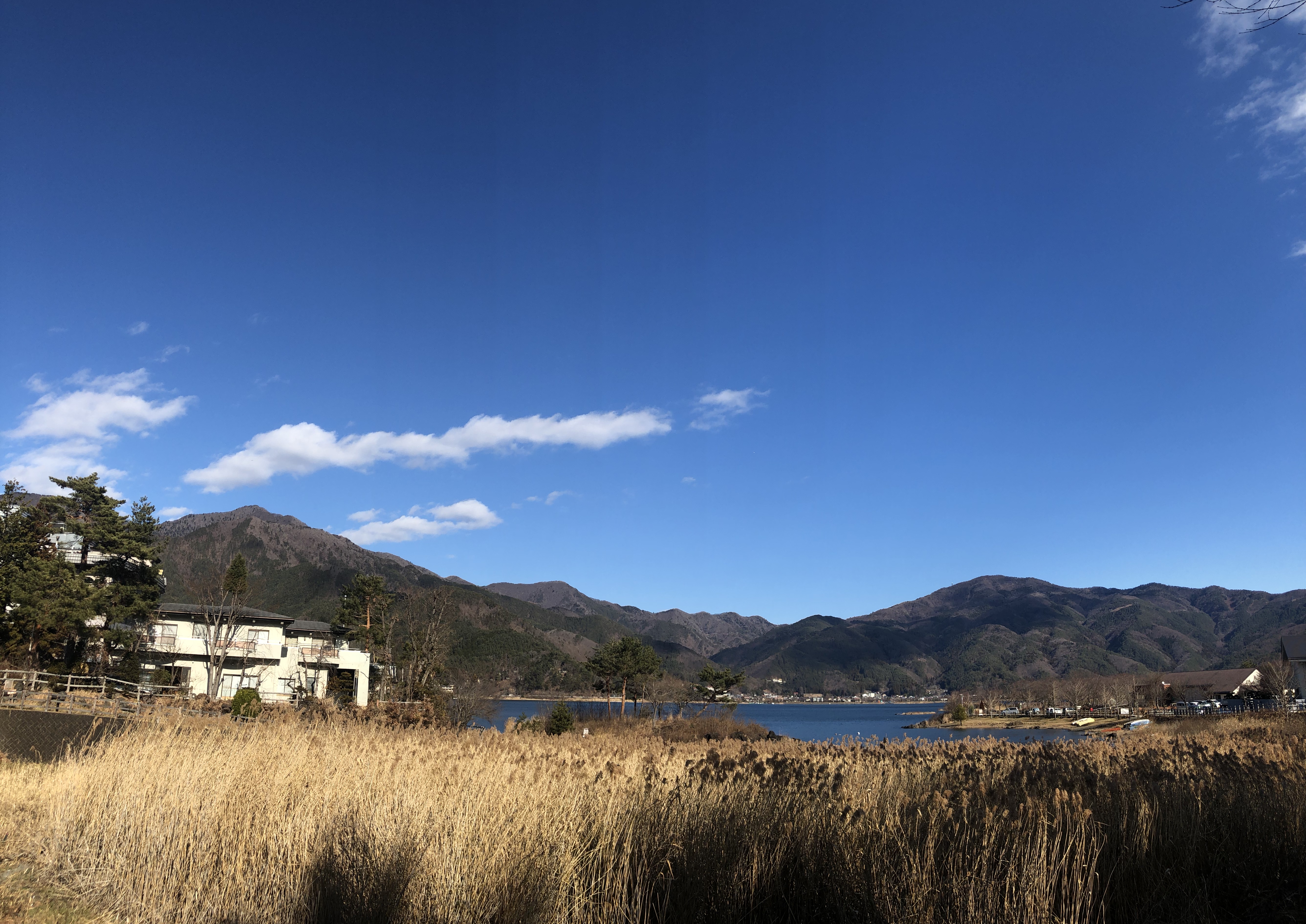 欧洲2020年签证,去欧洲旅游签证要什么条件才能办