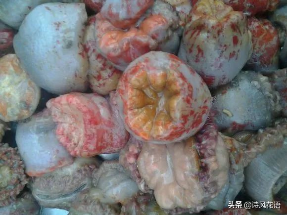 家乡印象海鲜,家乡味道舌尖上的美食