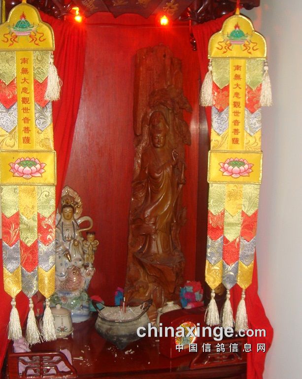 上海七旬老将的光耀：超远程结硕果公棚斩佳绩