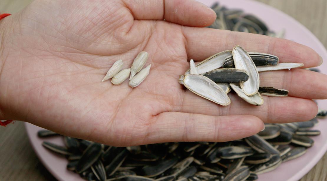 瓜子选原味的还是五香的,买瓜子要注意什么