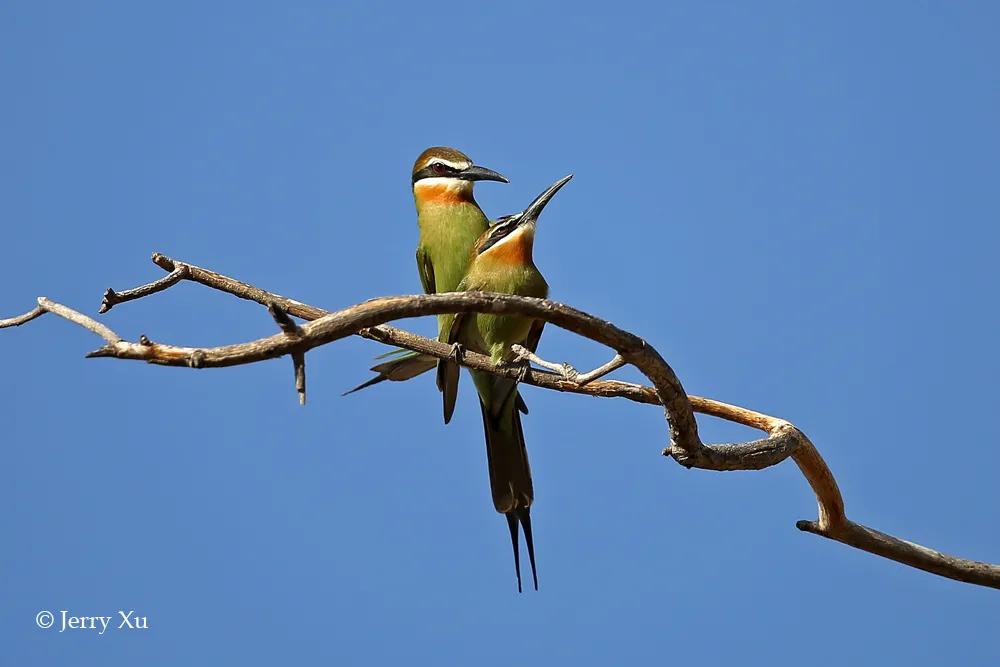 情人节，就该和爱的人*爱做**做的事